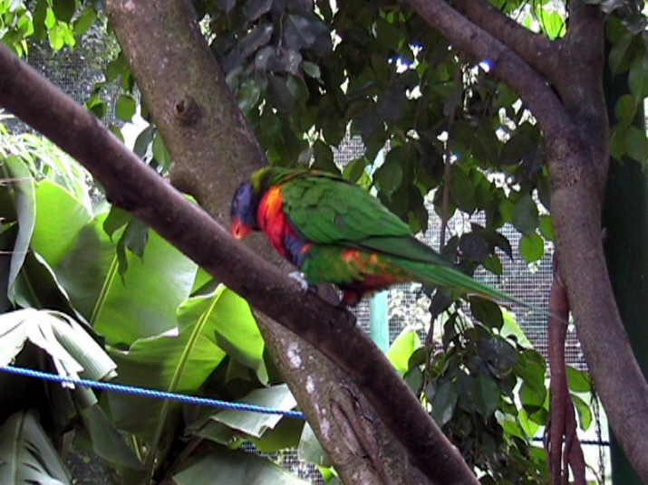 21a - Jardin Tropical 010.jpg